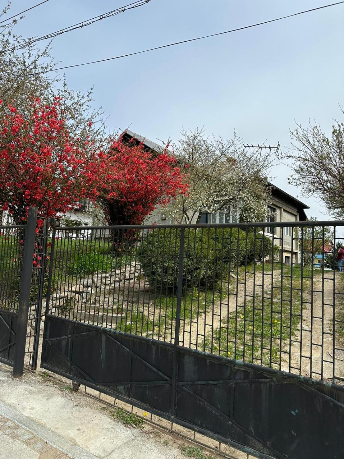 쿠티에데아게스 Casa Eroilor 빌라 외부 사진